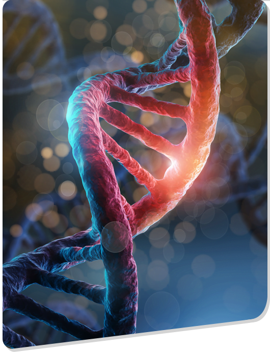 DNA Service Hyderabad