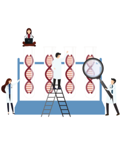 Duchene Muscular Dystrophy Genetic Counseling and testing at mirror gene Hyderabad