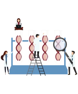 Duchene Muscular Dystrophy Genetic Counseling and testing at mirror gene Hyderabad