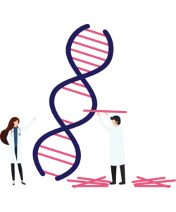 Duchene Muscular Dystrophy Genetic Counseling at mirror gene Hyderabad