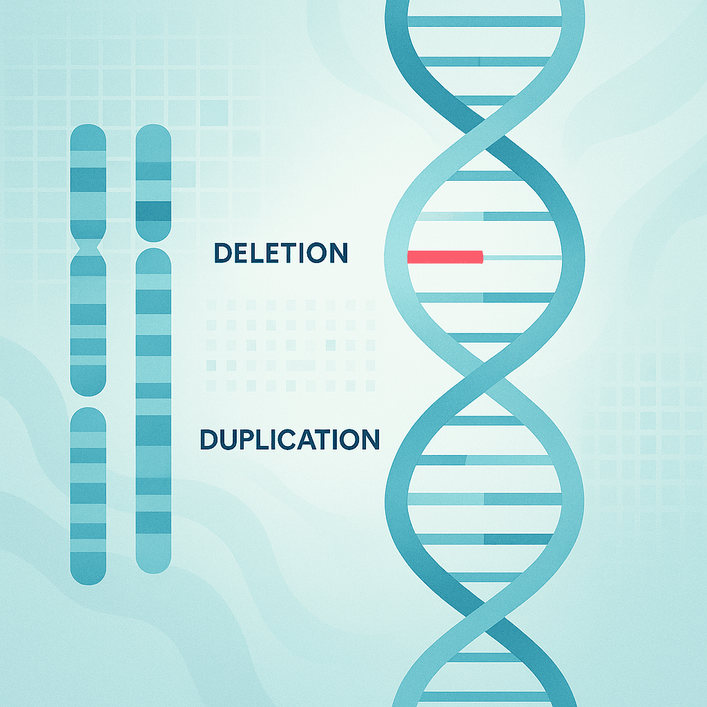 Understanding Copy Number Variations (CNVs) blog.